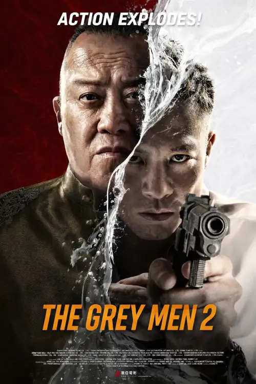 Download The Grey Men 2 (2025) AMZN WEB DL Dual Audio {Hindi Chinese} 480p [450MB] | 720p [1.1GB] | 1080p [2GB] x264