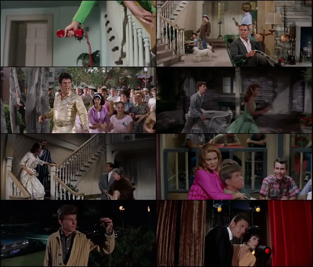 Bye Bye Birdie Screenshot 1 Bye Bye Birdie Screenshot 1